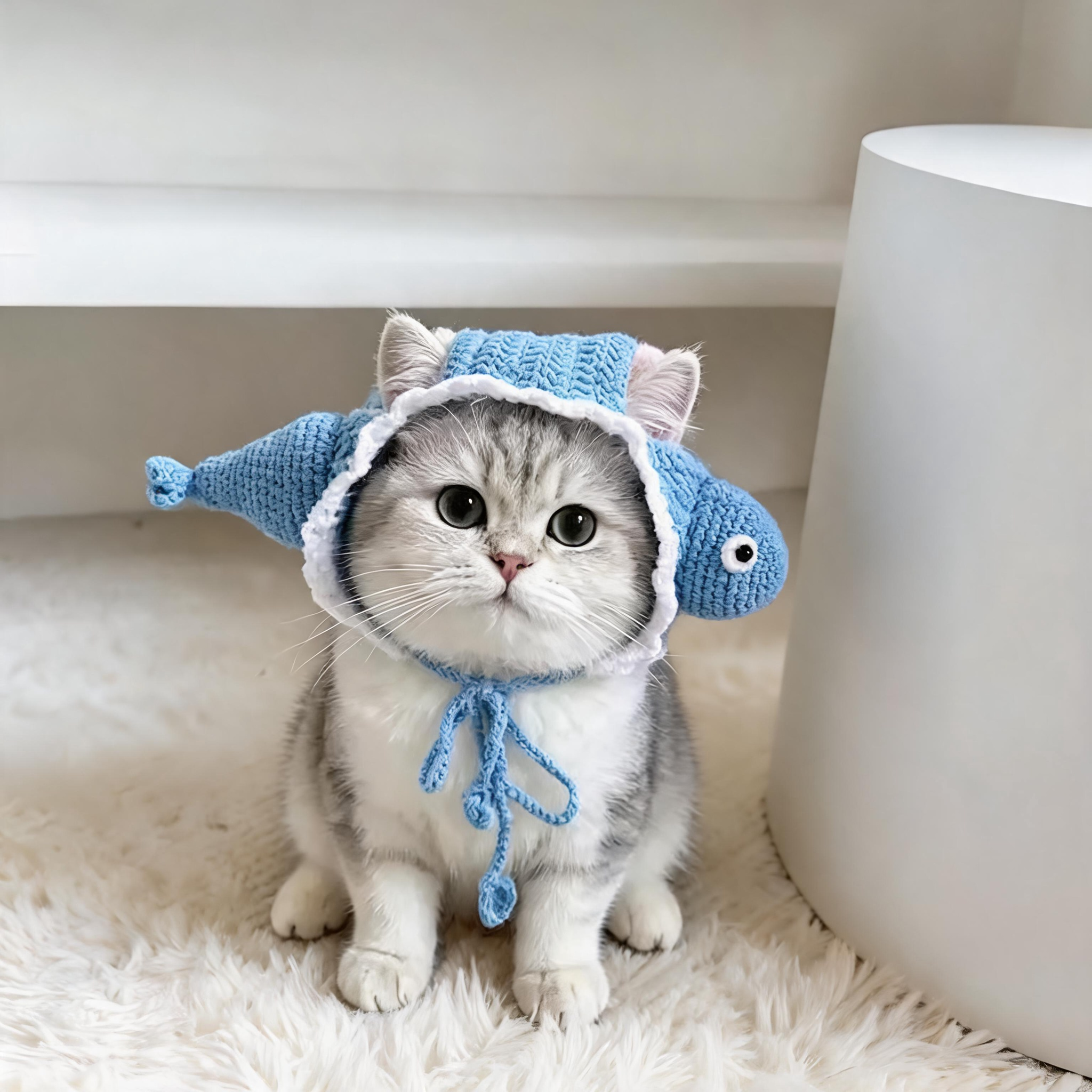 handmade-crochet-fish-hat-for-cats-small-dogs