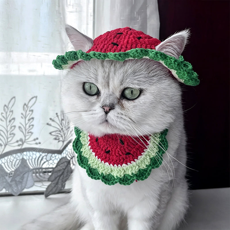 crochet-watermelon-pet-hat-pattern-diy-dog-cat-summer-accessory-tutorial