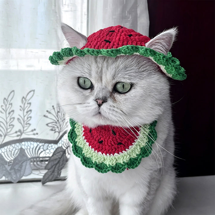 Crochet Watermelon Pet Hat Pattern - DIY Dog & Cat Summer Accessory Tutorial