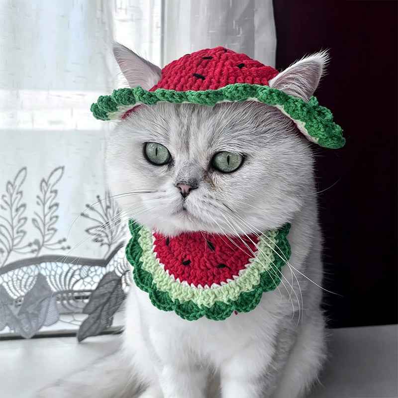 handmade-crochet-watermelon-pet-hat-for-dogs-cats-cute-summer-fruit-sun-hat-photoshoot-prop