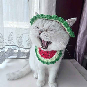 Handmade Crochet Watermelon Pet Hat for Dogs & Cats - Cute Summer Fruit Sun Hat & Photoshoot Prop