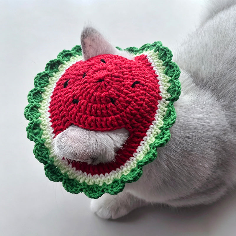 crochet-watermelon-pet-hat-pattern-diy-dog-cat-summer-accessory-tutorial