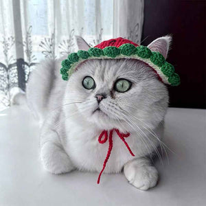 Handmade Crochet Watermelon Pet Hat for Dogs & Cats - Cute Summer Fruit Sun Hat & Photoshoot Prop