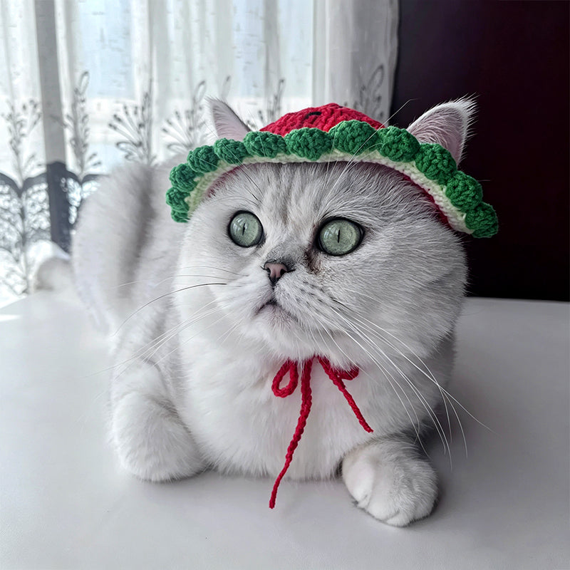 crochet-watermelon-pet-hat-pattern-diy-dog-cat-summer-accessory-tutorial