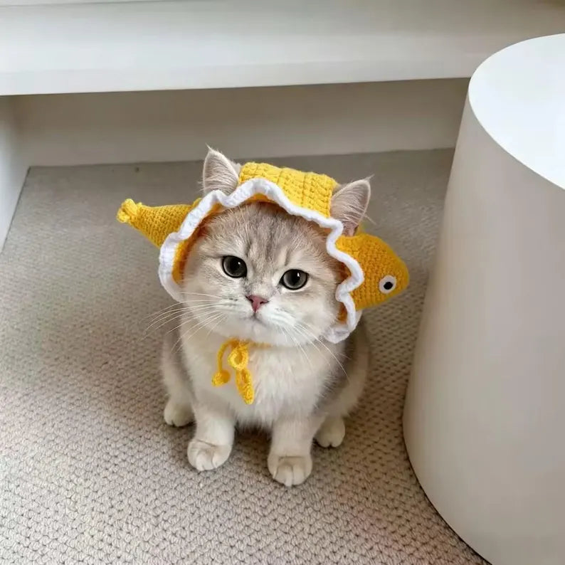 handmade-crochet-fish-hat-for-cats-small-dogs