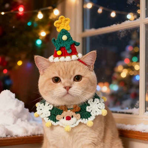 Christmas Cat Costume Set – Knitted Collar & Tree Hat for Pets