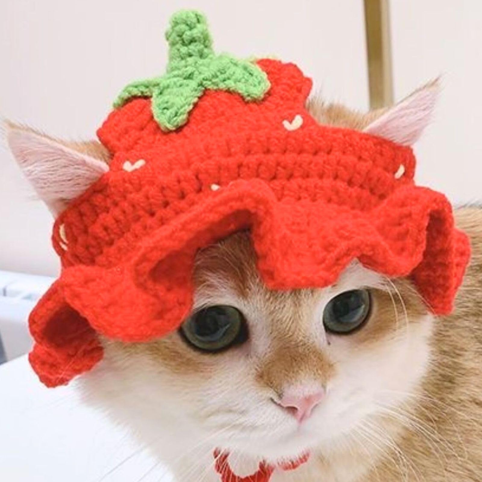 crochet-strawberry-cat-hat-pattern