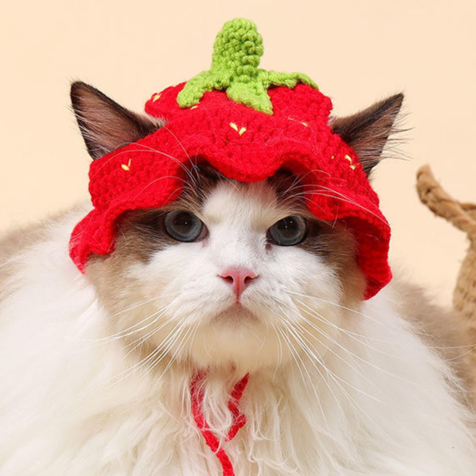 crochet-strawberry-cat-hat-pattern