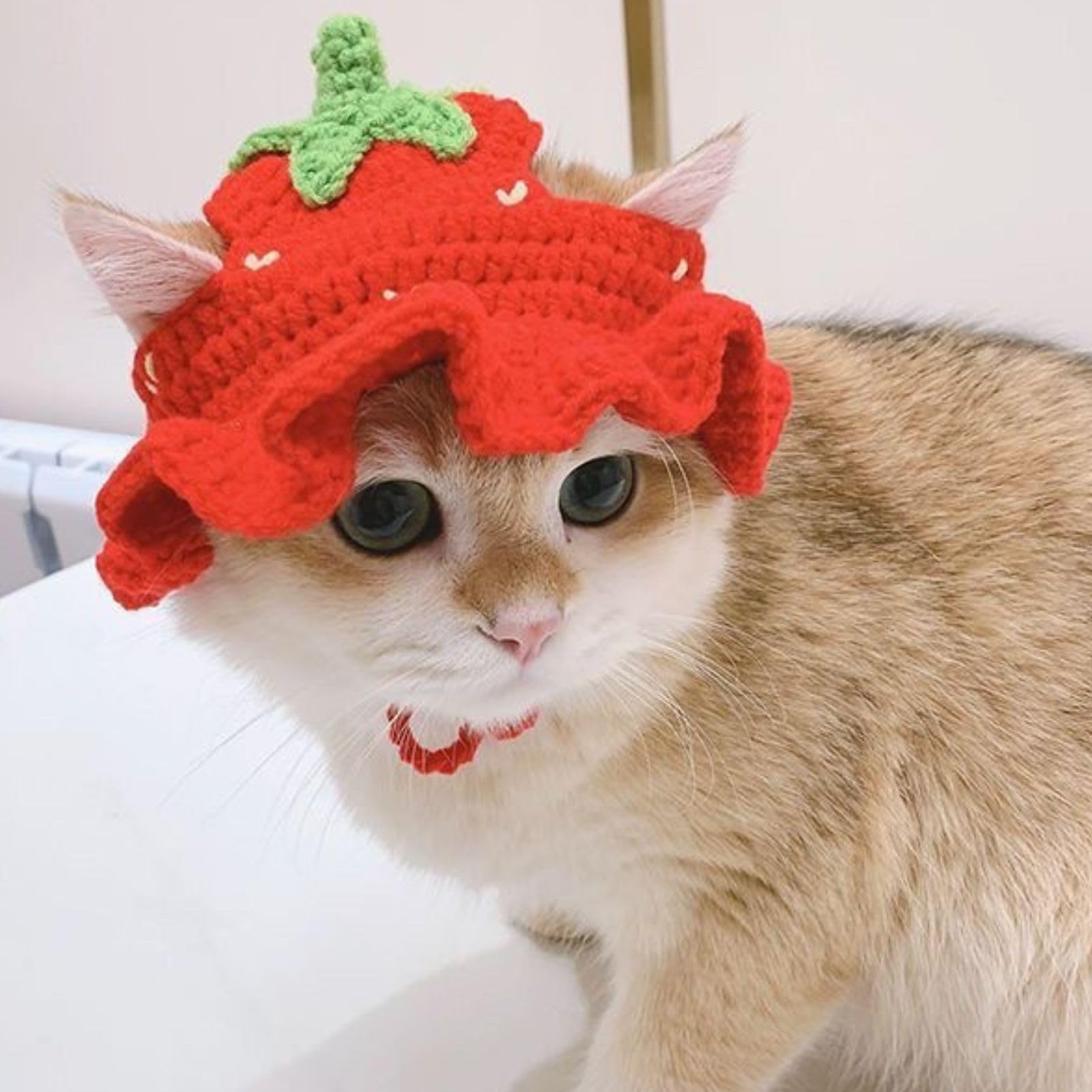 crochet-strawberry-cat-hat-pattern